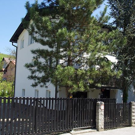 Apartment Zupan Марибор Экстерьер фото